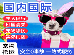 青山机场快运国际宠物托运 【国